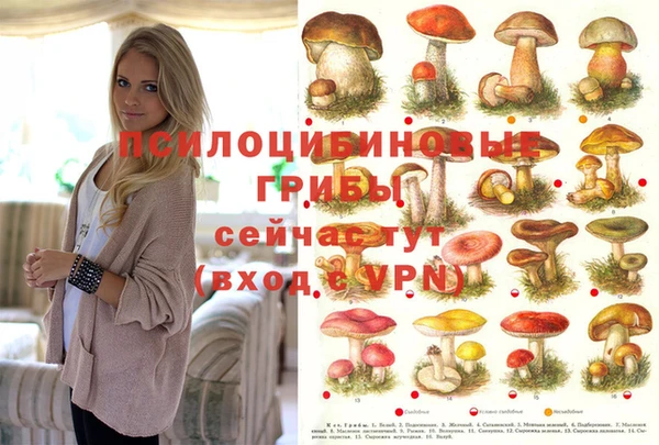 прущие крисы Балахна