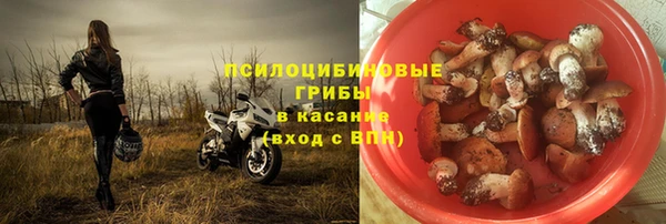 метадон Аркадак