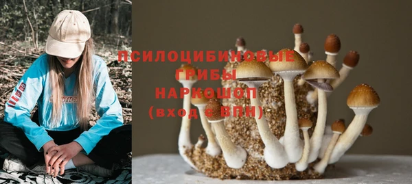 метадон Аркадак