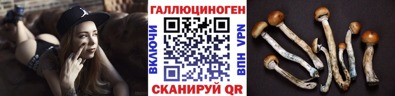Псилоцибиновые грибы мицелий  Ясногорск 